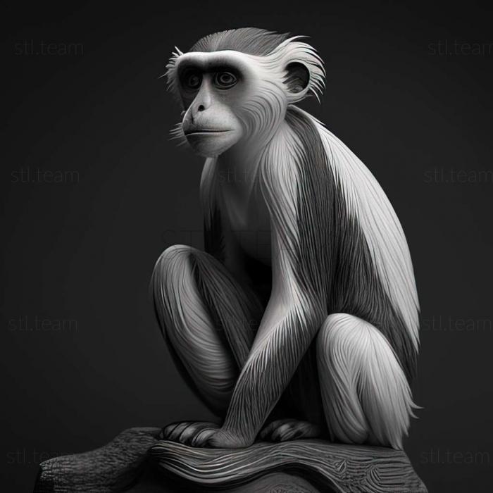 Piliocolobus foai